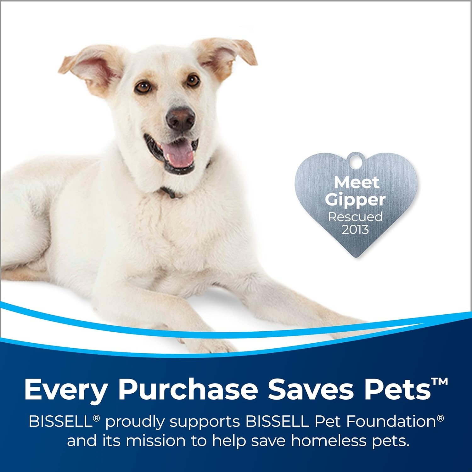 Bissell PET PRO OXY Urine Eliminator with Febreze Carpet Deep Clean Solution, with StainProtect Technology, for use in leading upright carpet cleaners, 48oz, Our best formula for pet messes & odors(48 Fl Oz (Pack of 2))