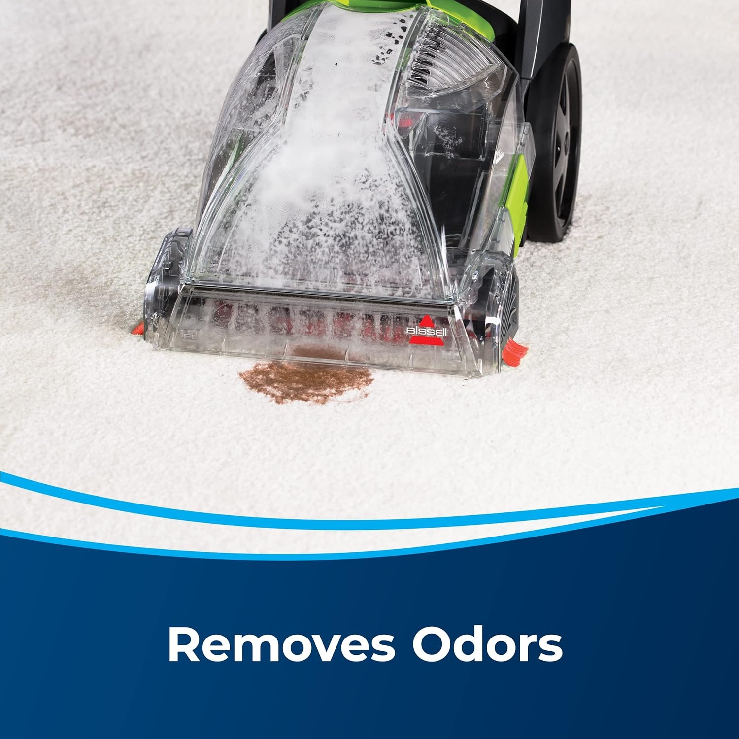 Bissell PET PRO OXY Urine Eliminator with Febreze Carpet Deep Clean Solution, with StainProtect Technology, for use in leading upright carpet cleaners, 48oz, Our best formula for pet messes & odors(48 Fl Oz (Pack of 2))