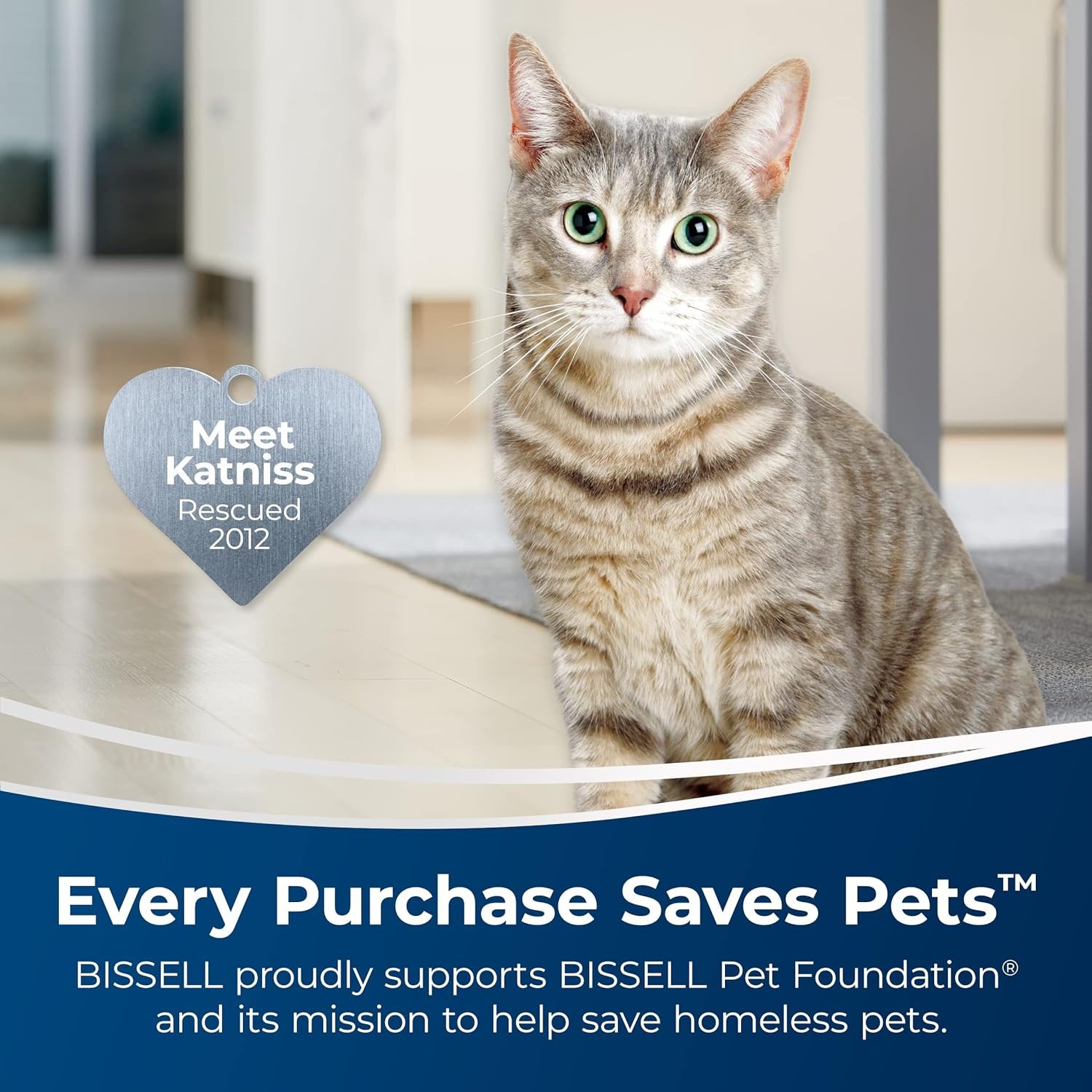 Bissell Simply Upright Carpet Cleaner Formula, 48 Fl Oz