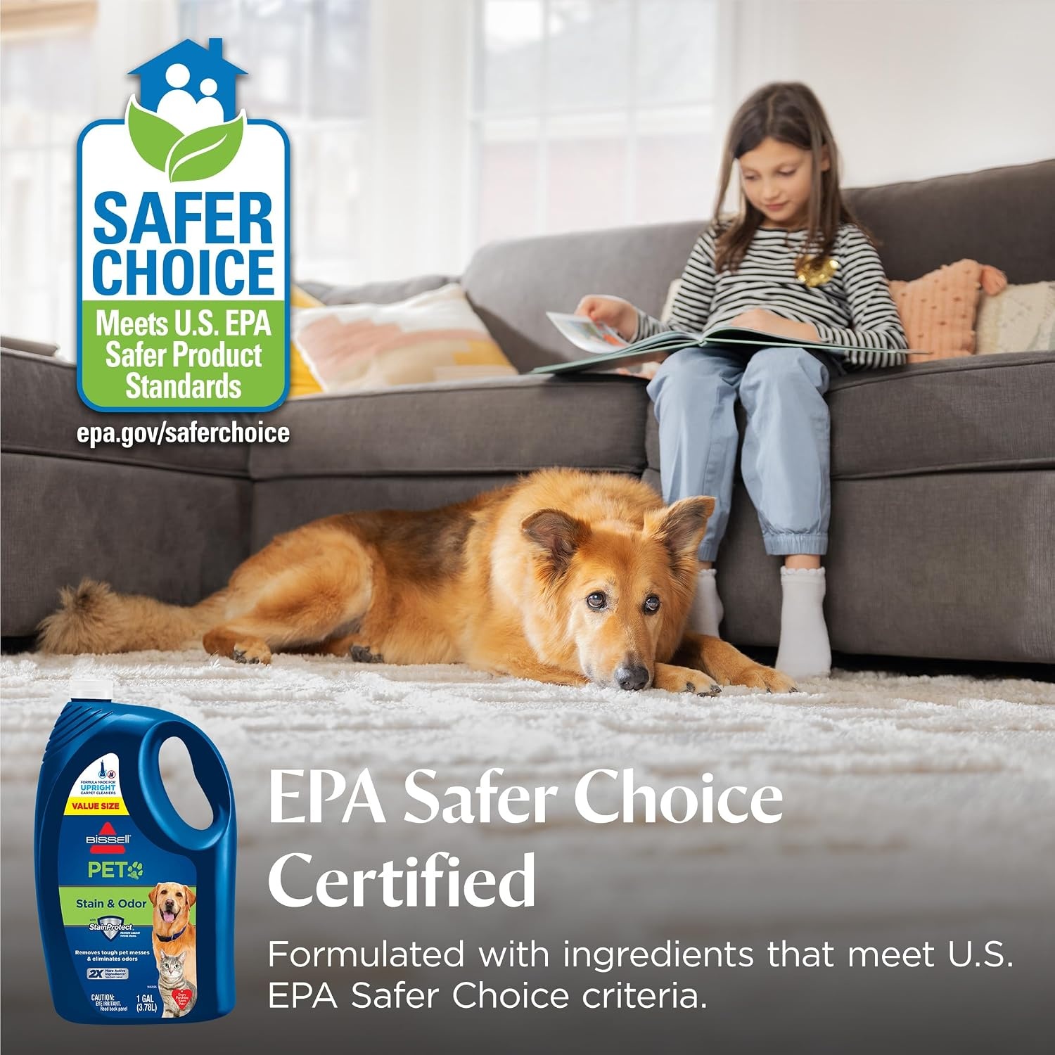Bissell Pet & Stain Odor Full Size Deep Cleaner Machine Solution, 1 Gallon, 99K5Y