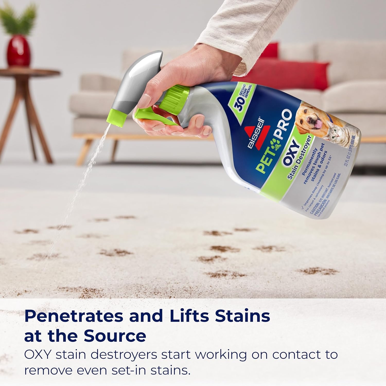 Bissell PET PRO OXY Stain Destroyer for Carpet and Upholstery, 22 oz, 2 pack, 17739(44 Fl Oz (Pack of 1))