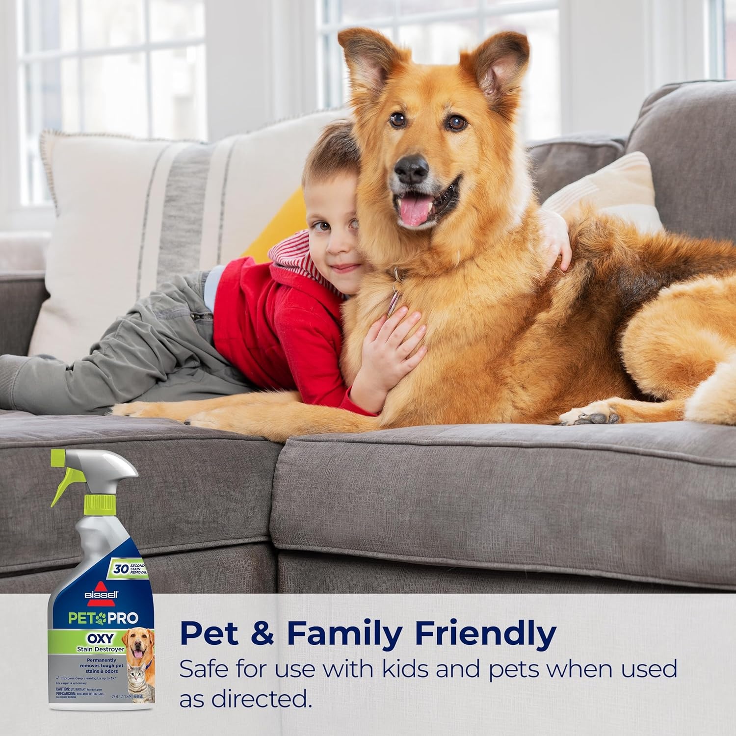 Bissell PET PRO OXY Stain Destroyer for Carpet and Upholstery, 22 oz, 2 pack, 17739(44 Fl Oz (Pack of 1))