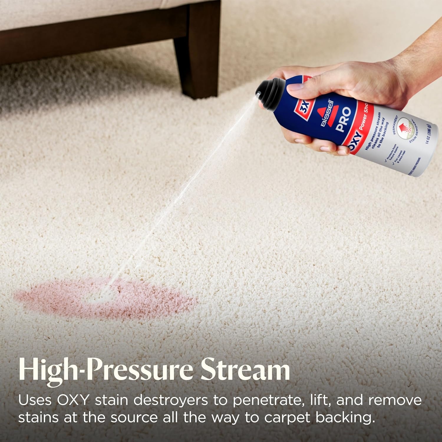 Bissell Professional Power Shot Oxy Carpet Spot & Stain Remover, 14 oz (Pack of 2), 95C9L(14 Fl Oz (Pack of 2))