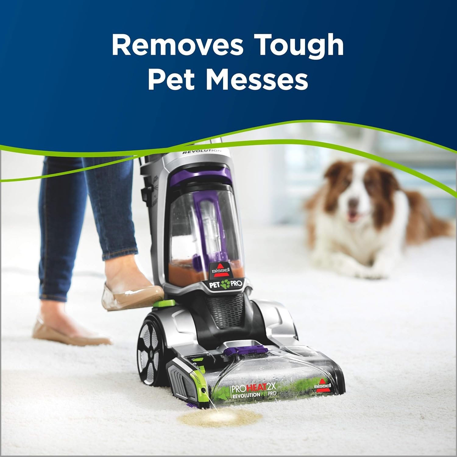 BISSELL 2X Pet Stain & Odor Full Size Machine Formula, 60 ounces, 99K52(60 Fl Oz (Pack of 2))