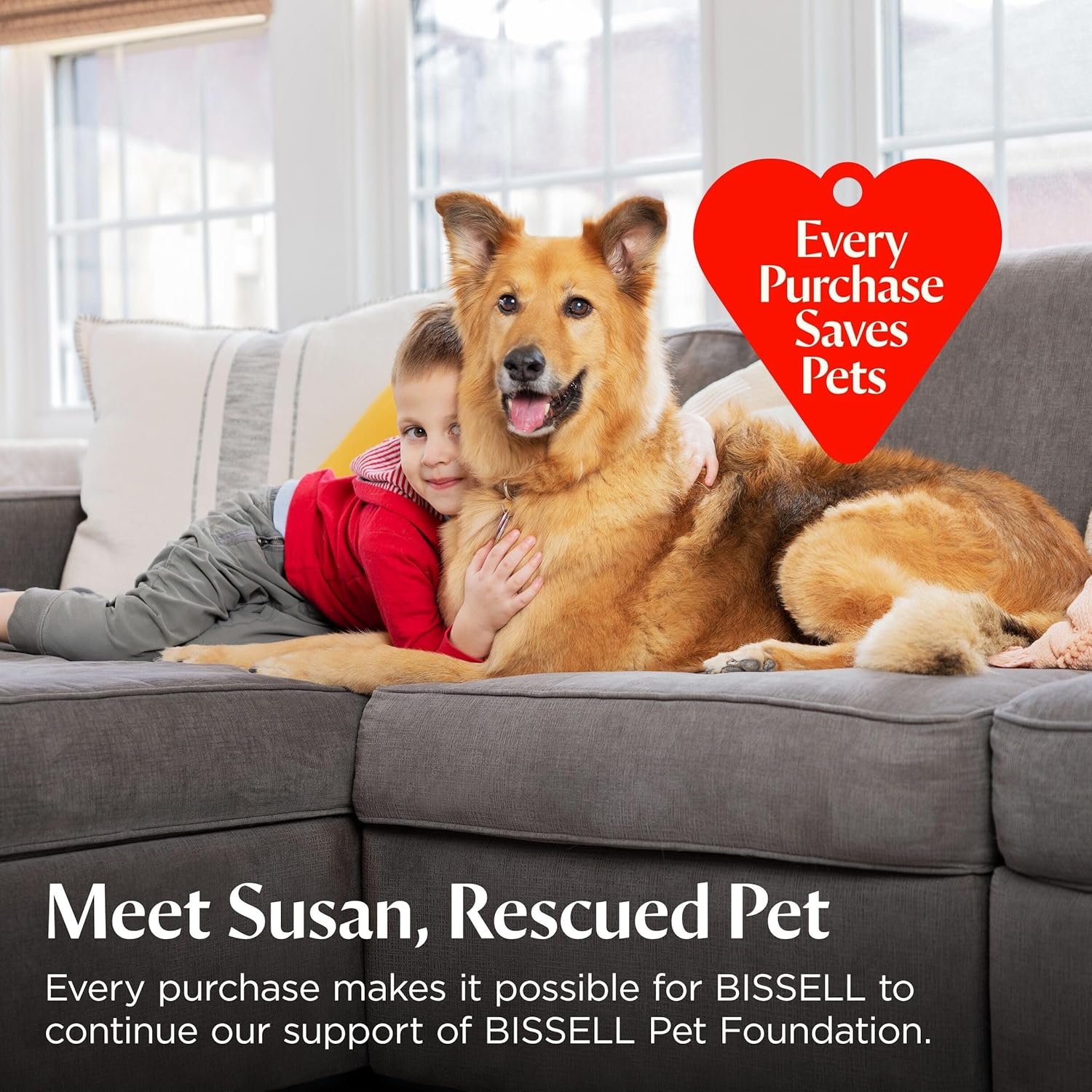 Bissell Multi-Surface Pet with Citrus, 34441, 64oz, Safe on Sealed hard Floors and Area Rugs, Removes tough pet messes and elimantes odors, Lemon Eucalyptus Essential Oils(Multi-Surface Pet  64 oz)