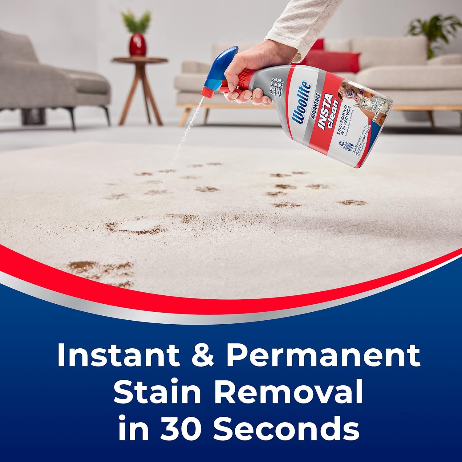 Woolite® Advantage INSTAclean™ Pet Stain Remover – 2 Pack, 3322