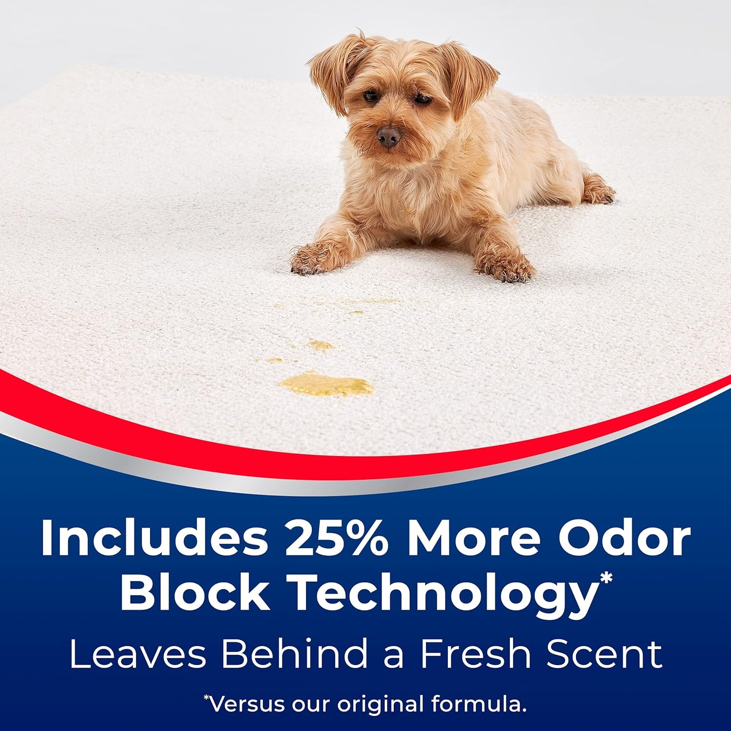 Woolite® Advantage INSTAclean™ Pet Stain Remover – 2 Pack, 3322