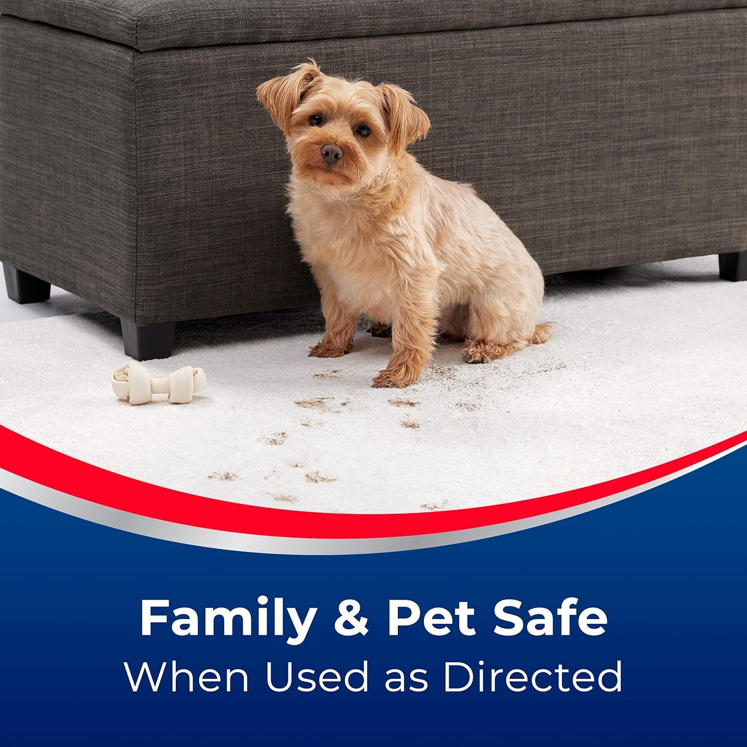Woolite® Advantage INSTAclean™ Pet Stain Remover – 2 Pack, 3322