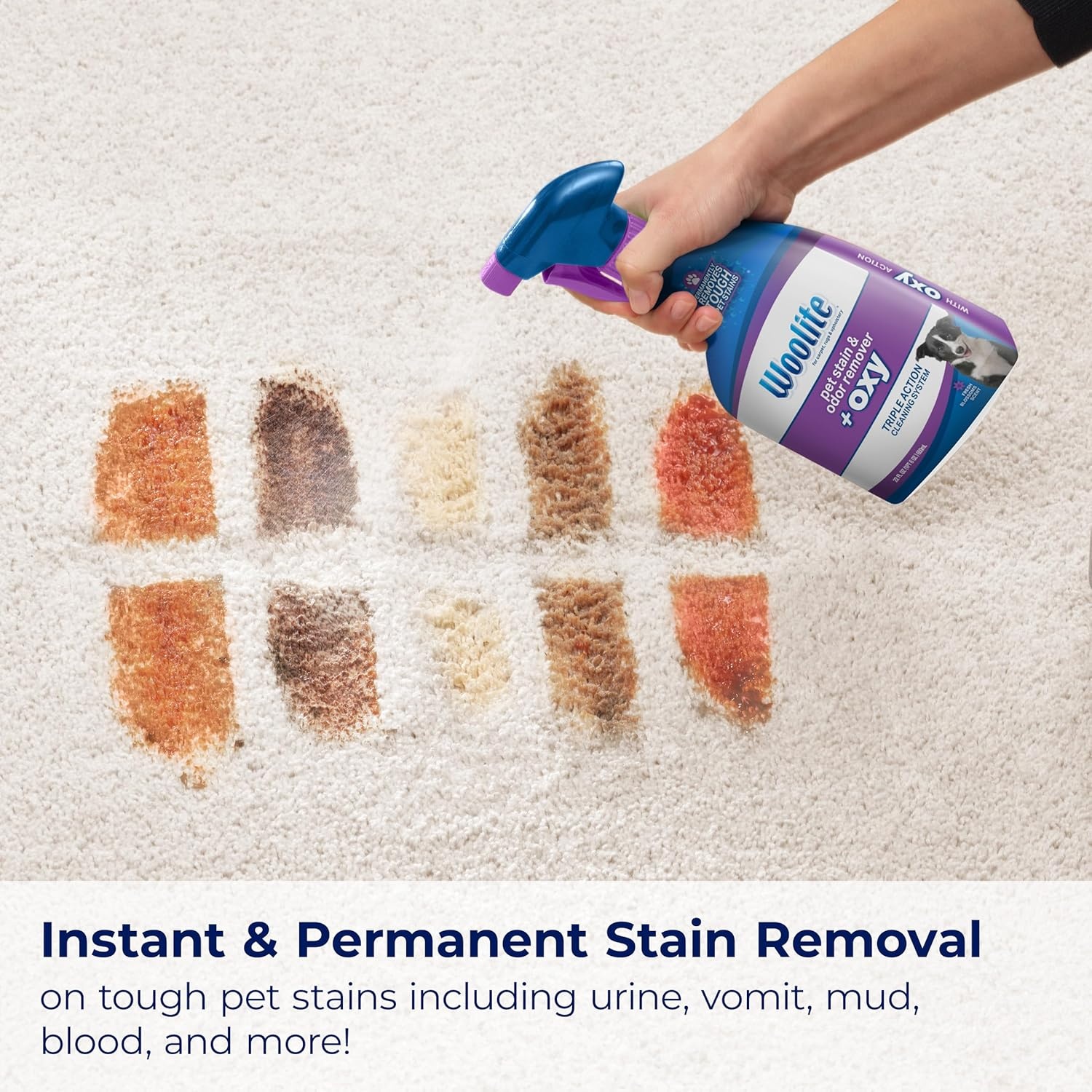 Bissell Woolite® Advantage Pet Stain & Odor Remover + Oxy, 2-Pack, 3326