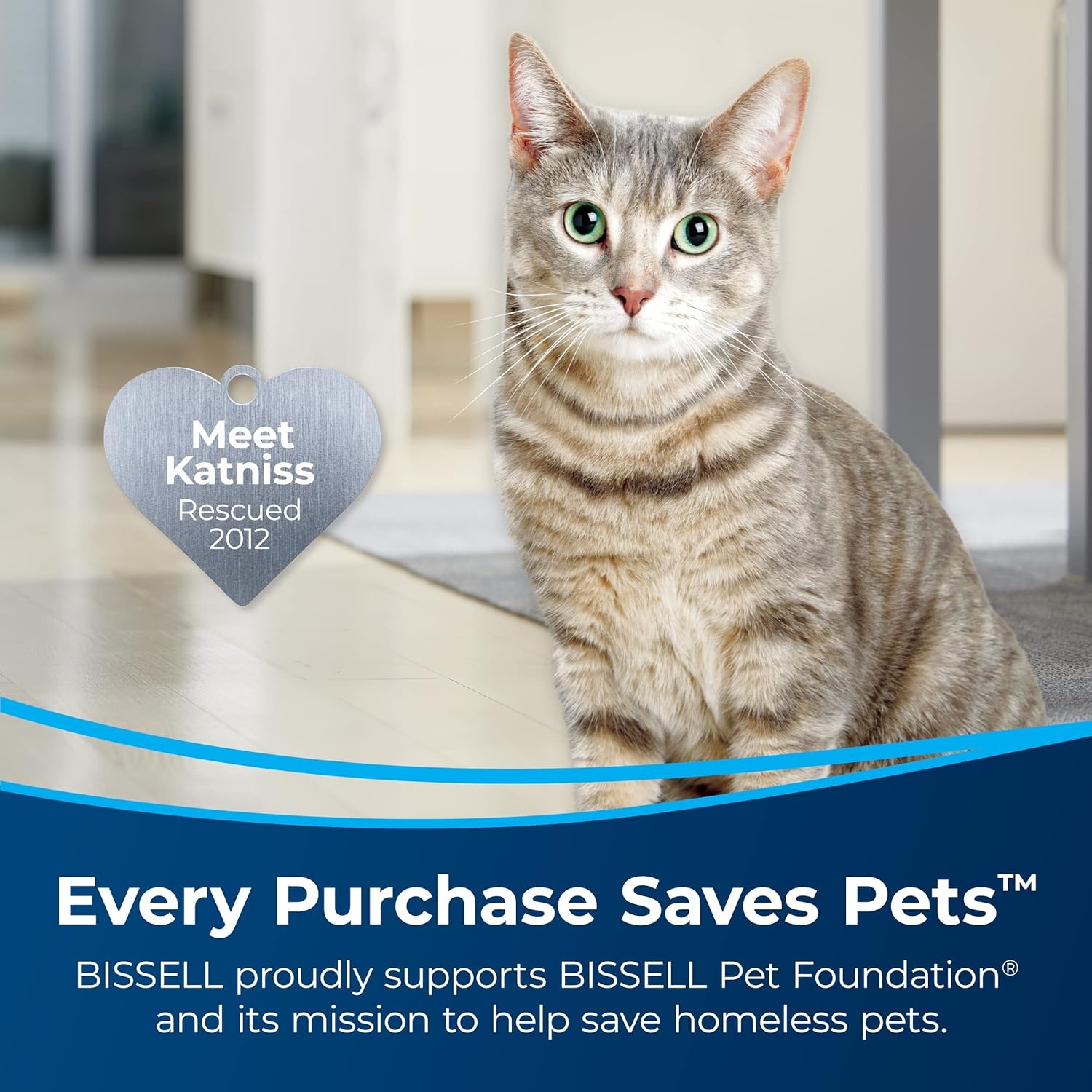 Bissell Pet Stain & Odor plus Antibacterial 2 in 1 Carpet Formula(40 Fl Oz (Pack of 2))