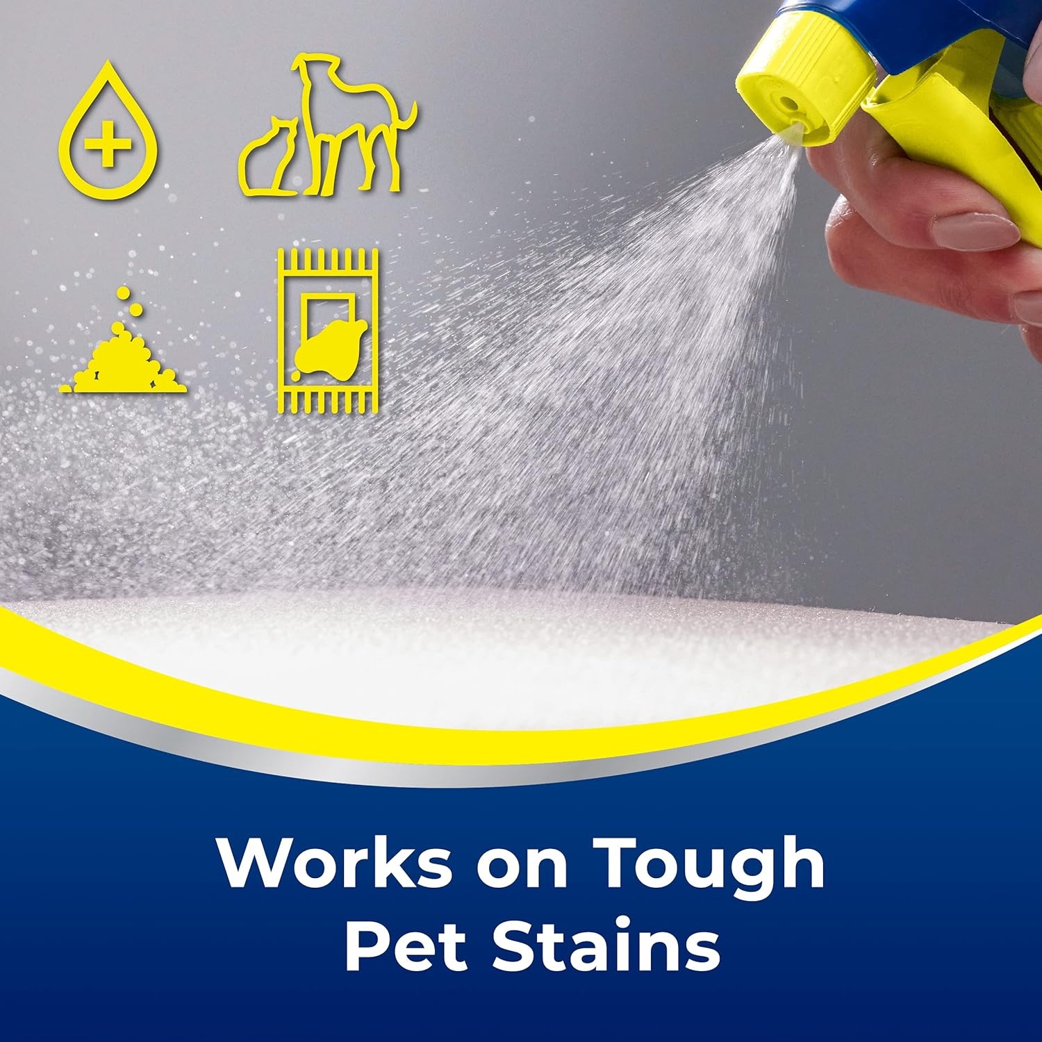 Woolite Advantage Pet Urine Eliminator, 44 Fl Oz, Pack of 2