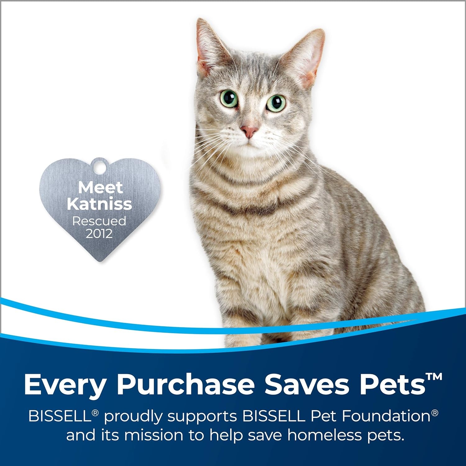 Bissell Pet Stain & Odor Remover + Sanitize Formula, 22 oz, 2 Pack, 11299(44 Fl Oz (Pack of 1))