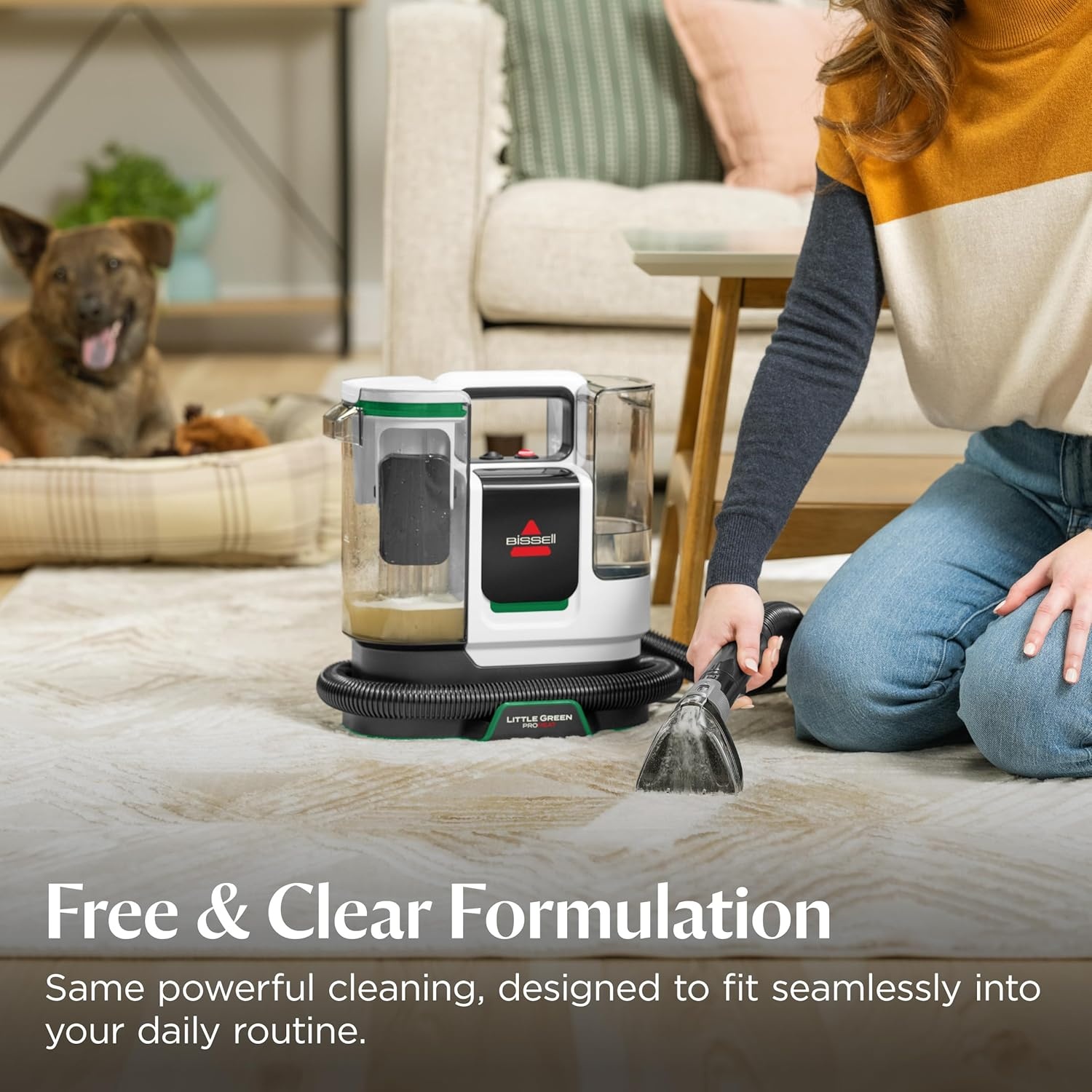 BISSELL PET PRO OXY Spot & Stain Formula for Portable Carpet Cleaners, 32 oz., 2034(Free and Clear)
