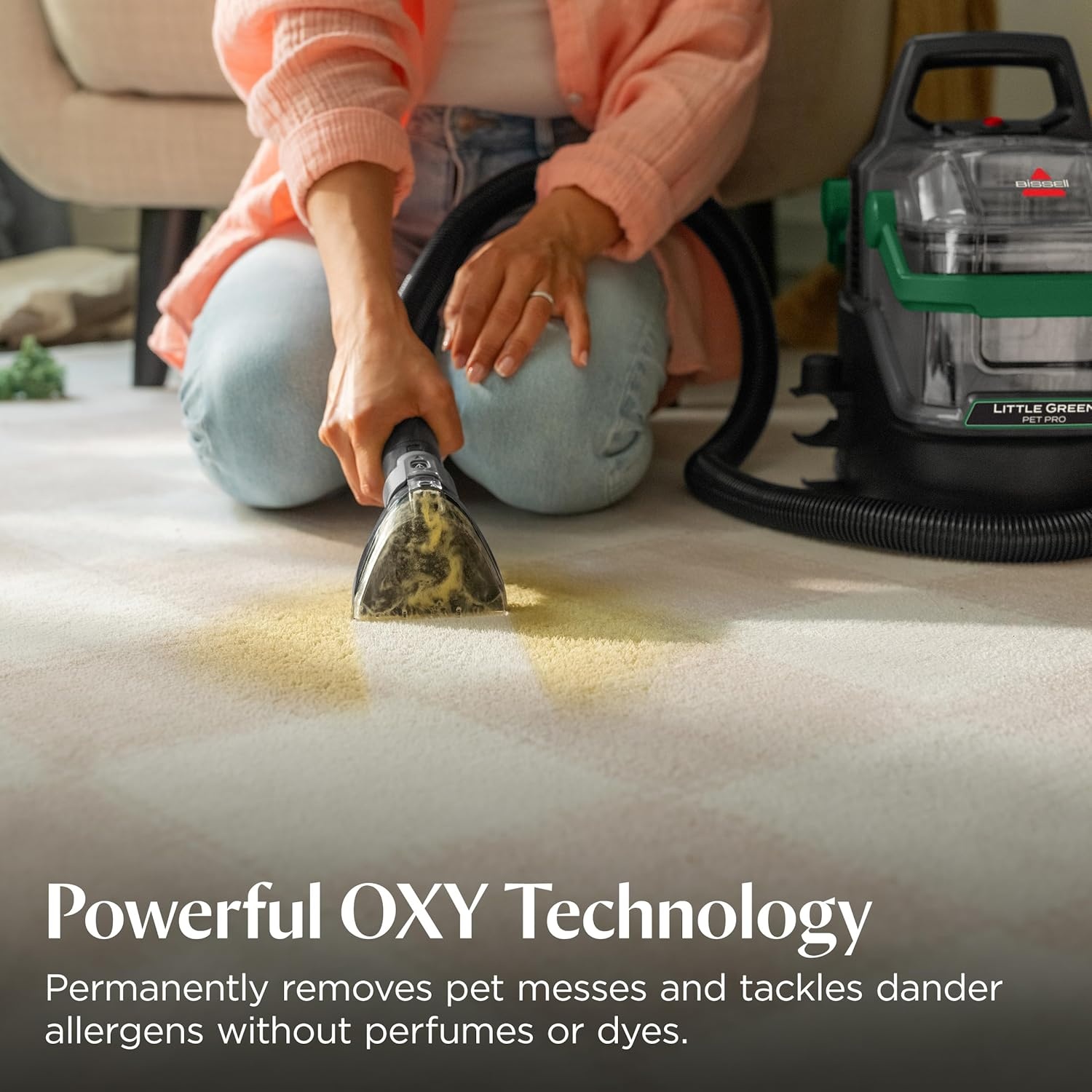 BISSELL PET PRO OXY Spot & Stain Formula for Portable Carpet Cleaners, 32 oz., 2034(Free and Clear)