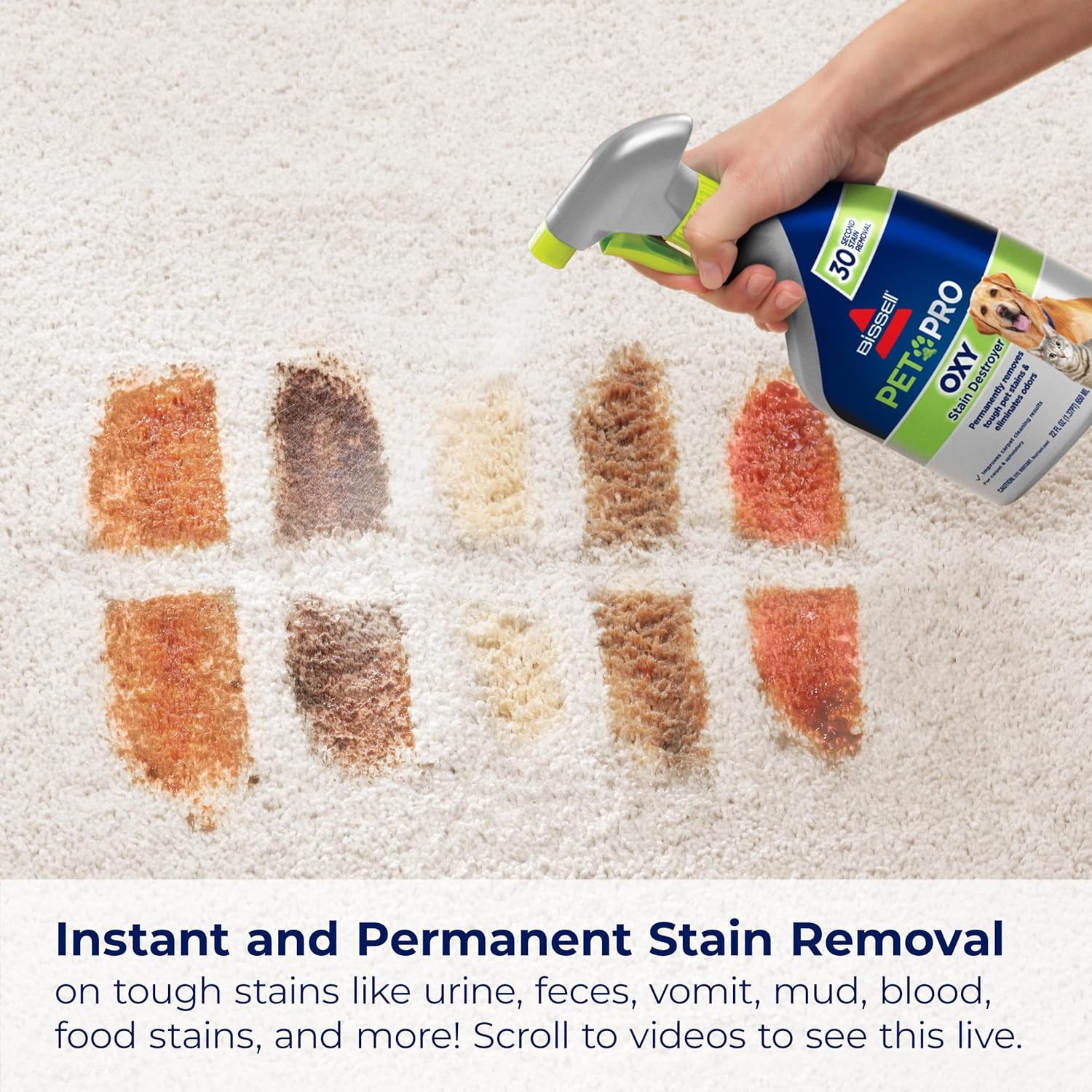 Bissell PET PRO OXY Stain Destroyer for Carpet and Upholstery, 22 oz, 2 pack, 17739(44 Fl Oz (Pack of 2))