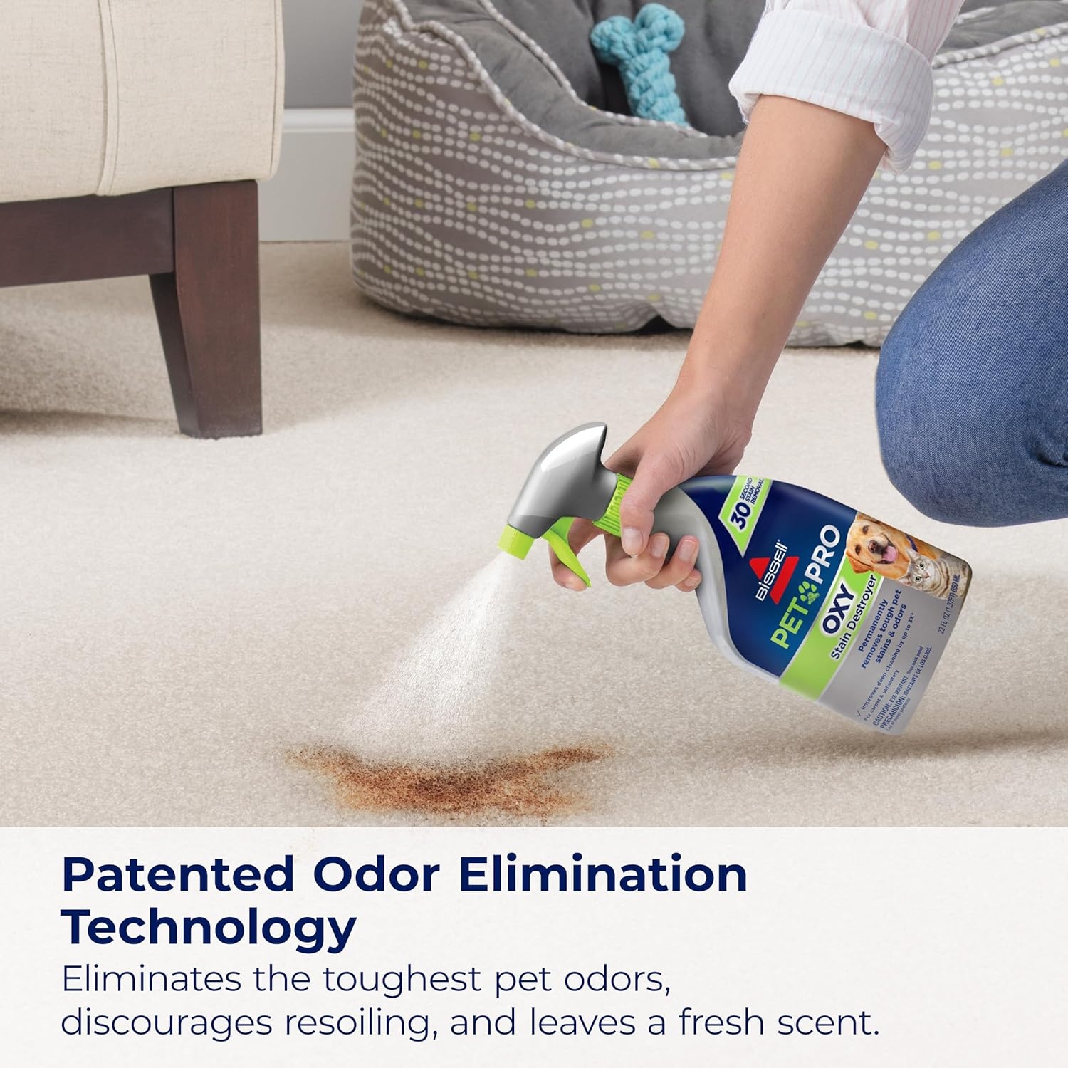 Bissell PET PRO OXY Stain Destroyer for Carpet and Upholstery, 22 oz, 2 pack, 17739(44 Fl Oz (Pack of 2))