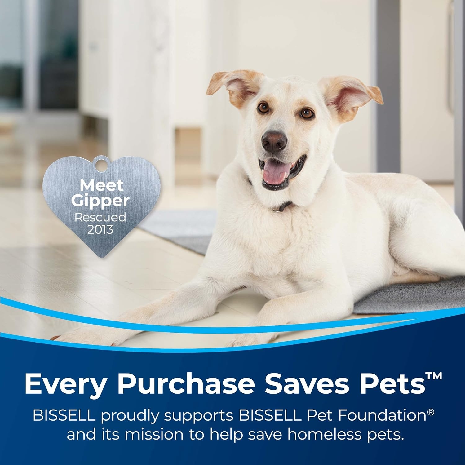 Bissell Pet Stain & Odor plus Antibacterial 2 in 1 Carpet Formula(40 Fl Oz (Pack of 1))