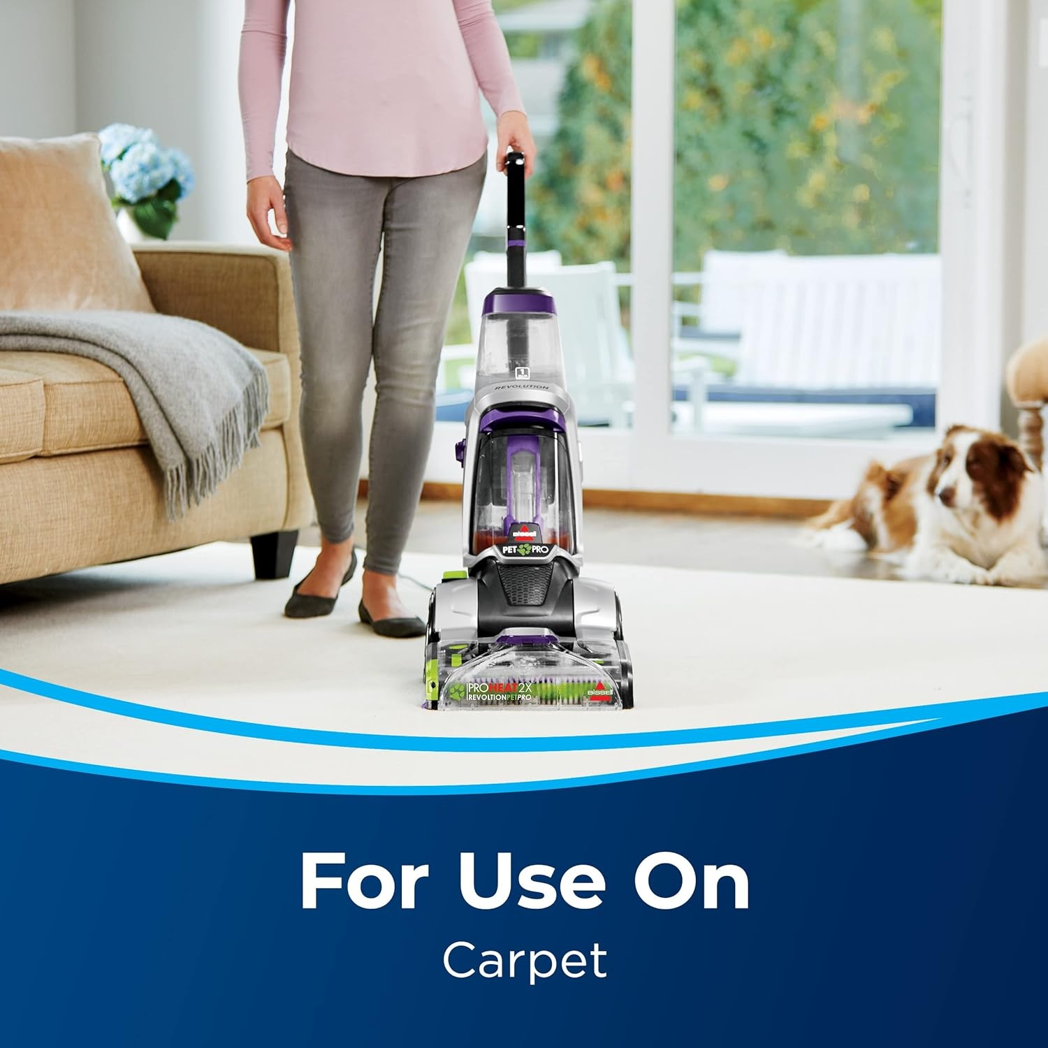 Bissell Pet Stain & Odor plus Antibacterial 2 in 1 Carpet Formula(40 Fl Oz (Pack of 1))