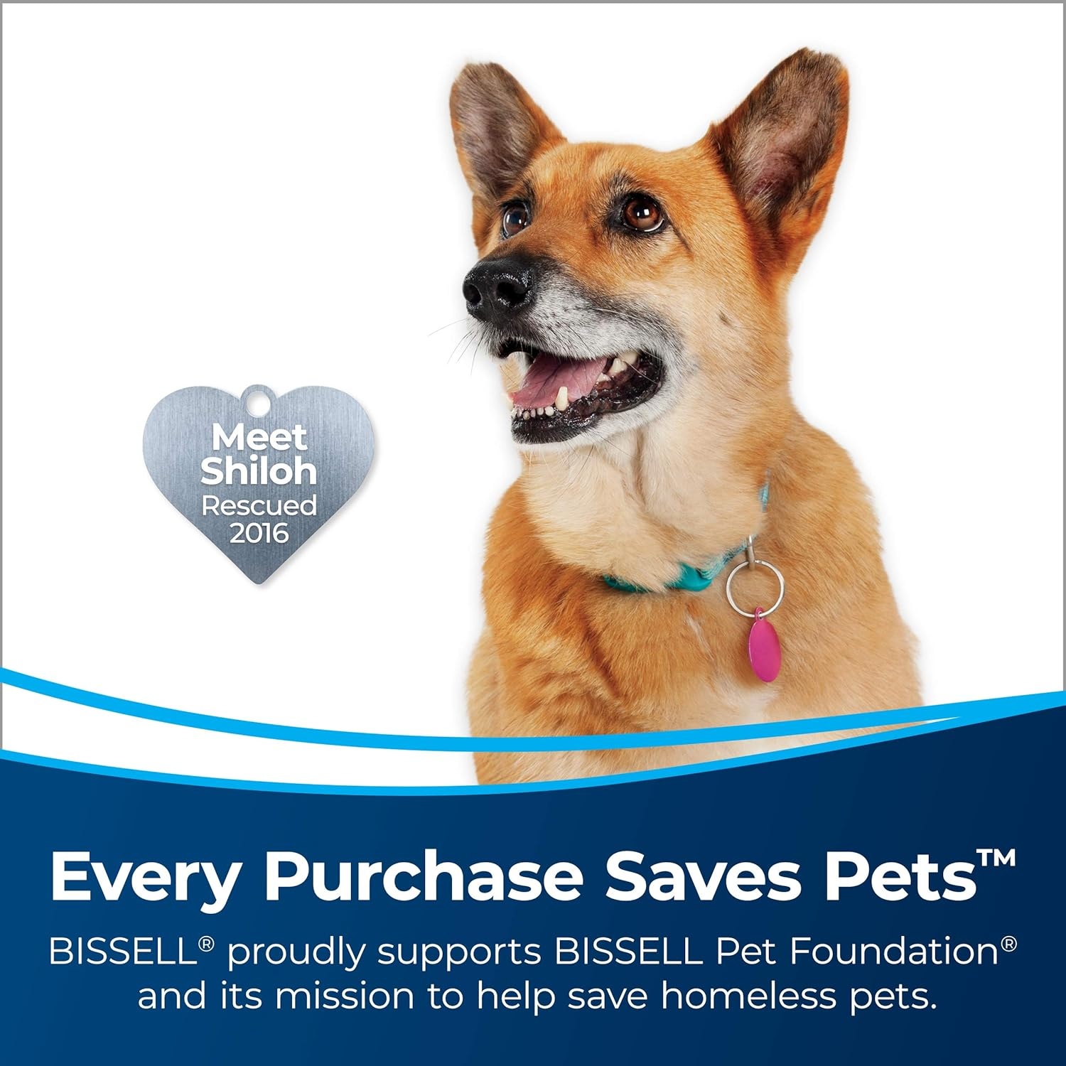 Bissell PowerGlide Pet Slim Cordless Stick Vacuum