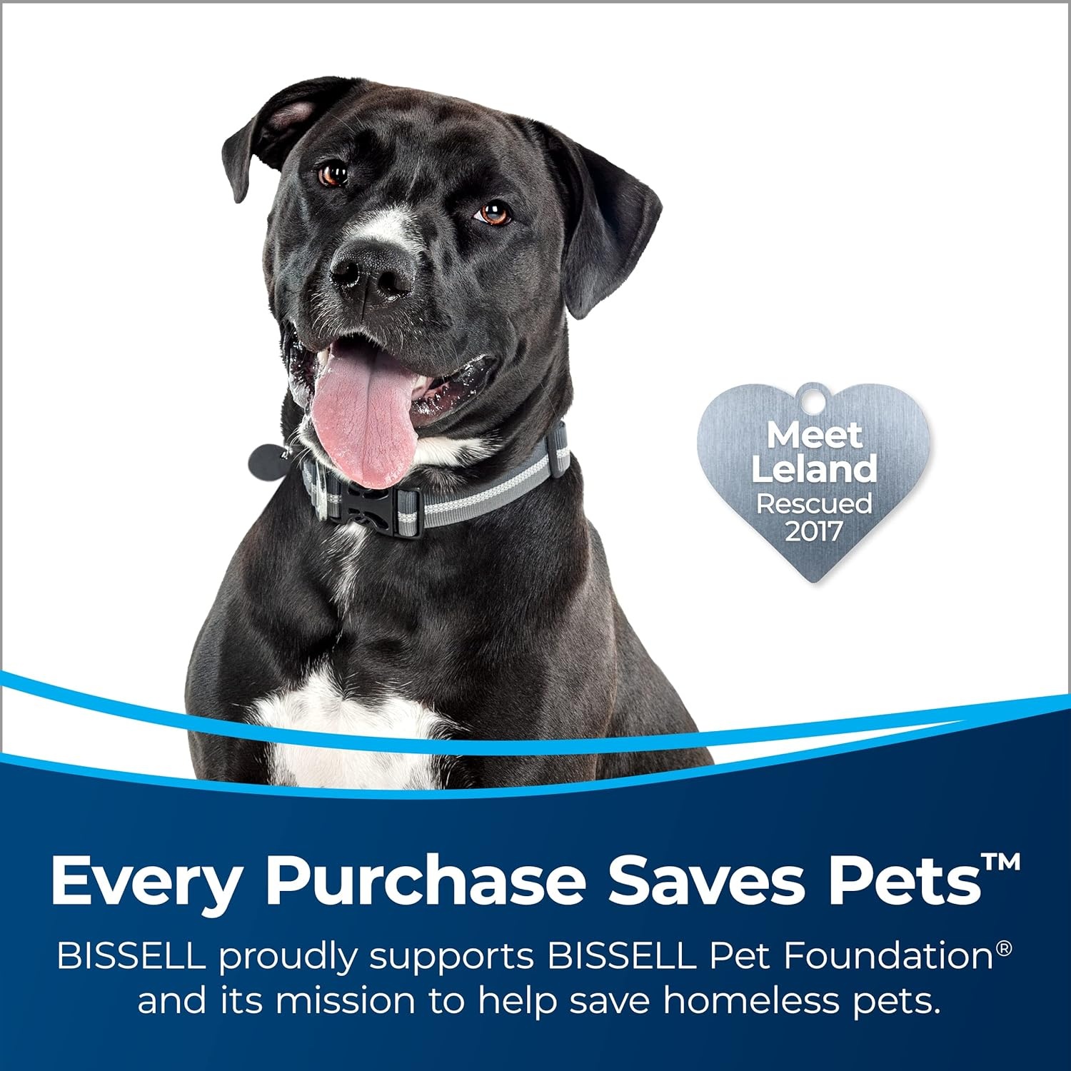 Bissell MultiClean Allergen Rewind Pet Vacuum with HEPA Filter Sealed System, Automatic Cord Rewind, Tangle-Free Brush Roll, & LED Headlights, 3405(MulitClean Lift-Off)