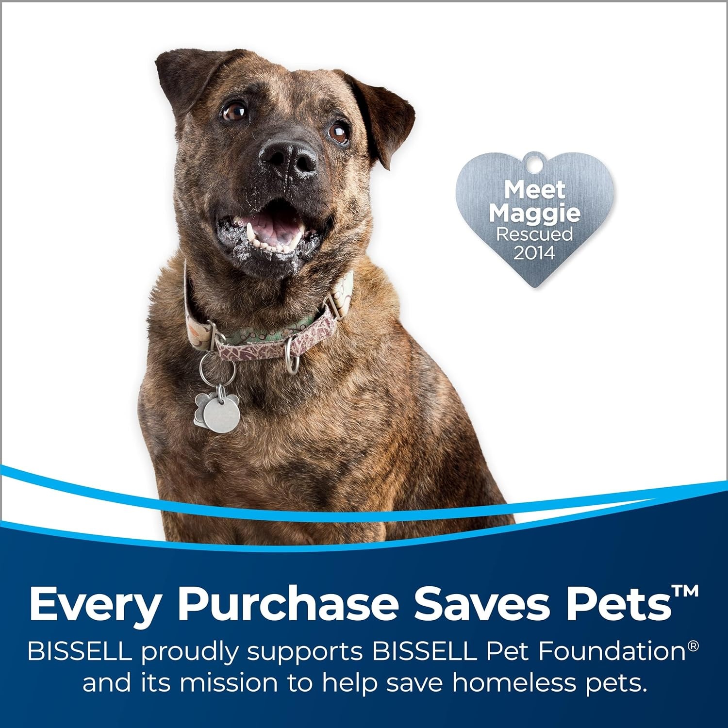 BISSELL 24613 Pet Hair Eraser Turbo Plus Lightweight Vacuum, Tangle-Free Brush Roll, Powerful Pet Hair Pick-up, SmartSeal Allergen System, Specialized Pet Tools, Easy Empty Dirt Tank(Grapevine Purple With Electric Green Accents)