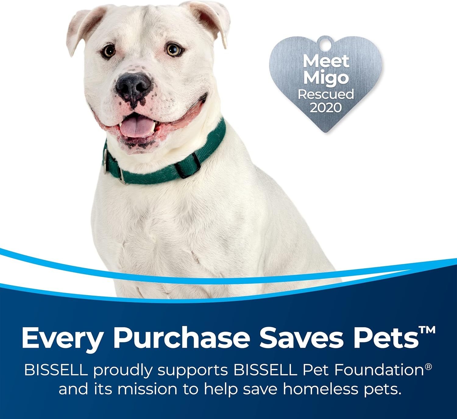 Bissell MultiClean Allergen Rewind Pet Vacuum with HEPA Filter Sealed System, Automatic Cord Rewind, Tangle-Free Brush Roll, & LED Headlights, 3405(MultiClean Rewind)