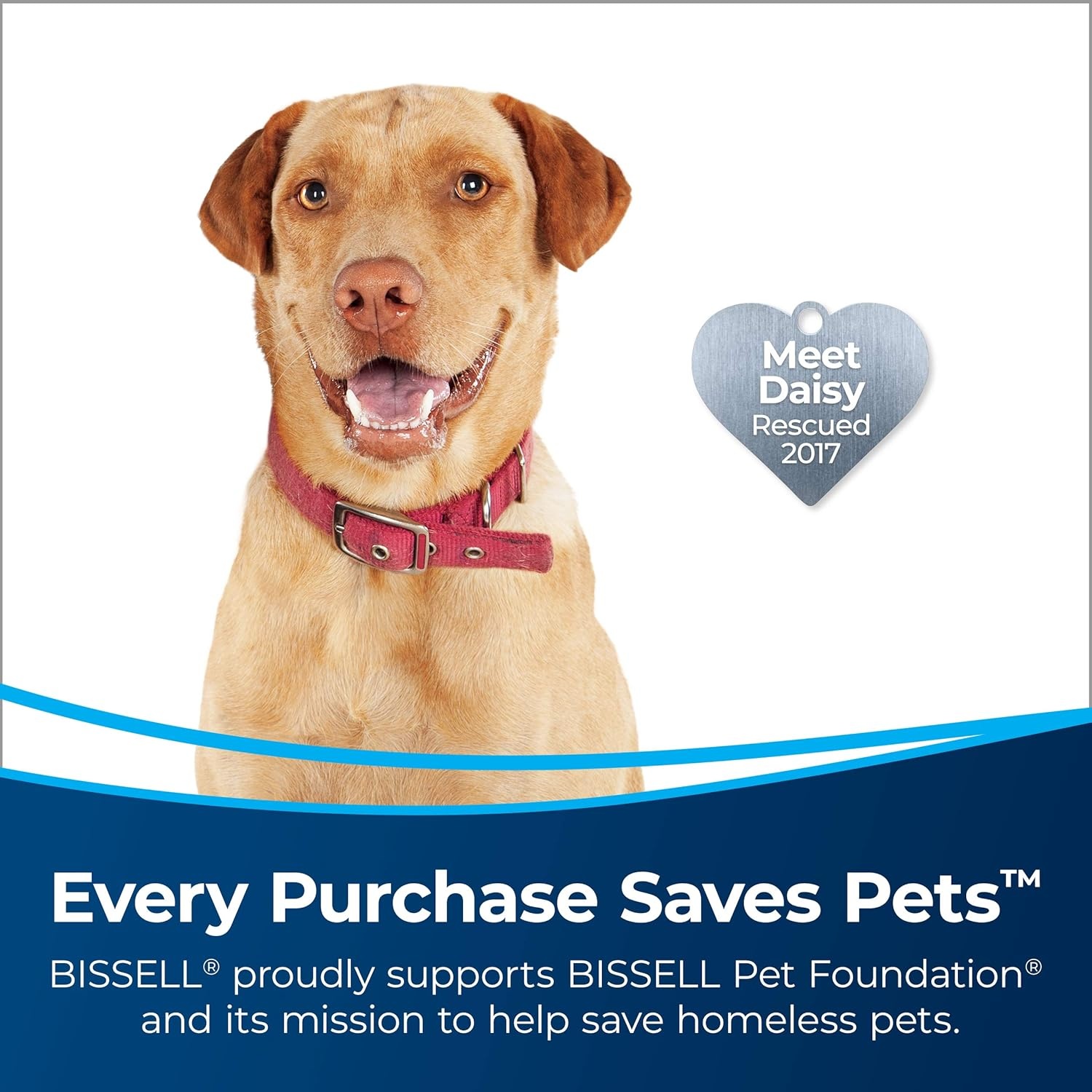 Bissell MultiClean Allergen Pet Slim(MultiClean)
