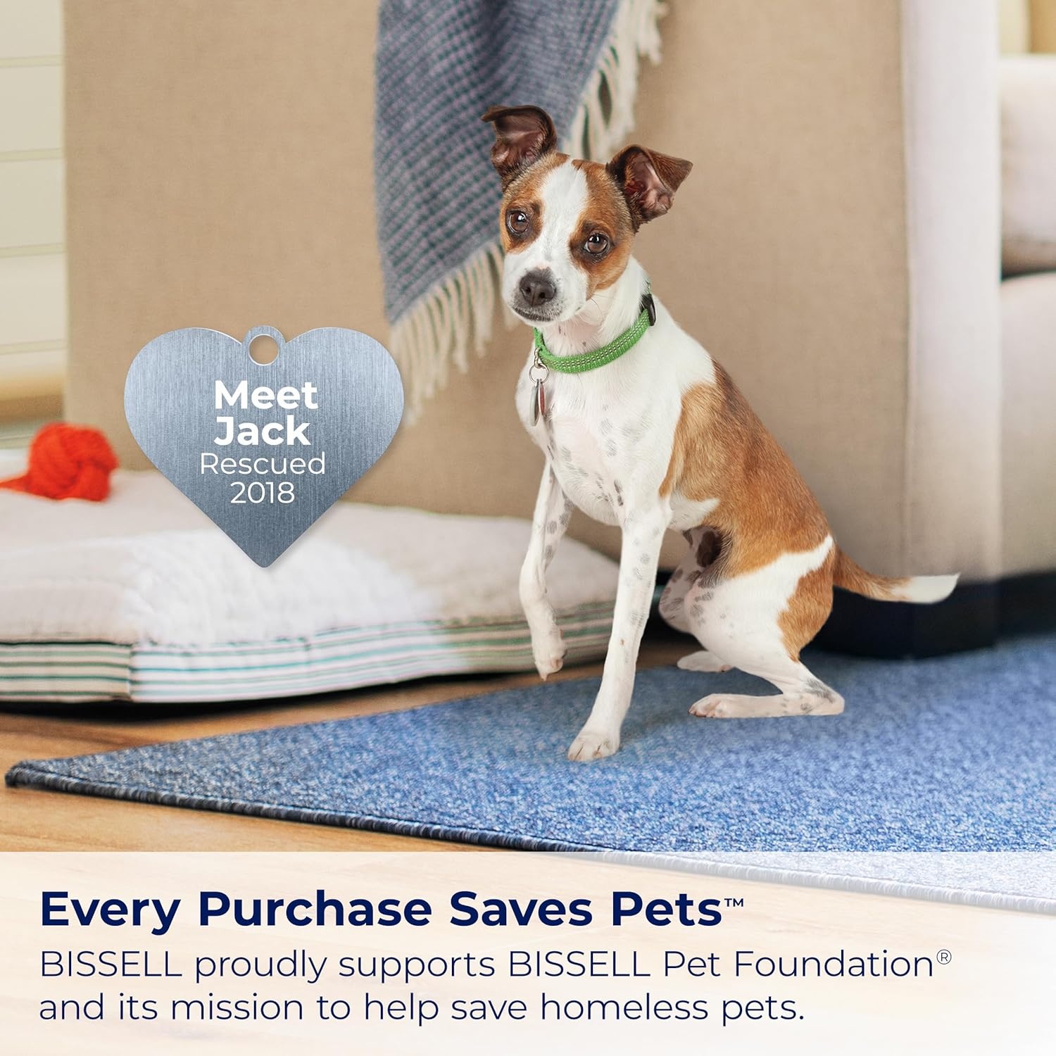 BISSELL® Little Green® Proheat® Pet, Portable Deep Cleaner with Heated Cleaning Technology, Self-Cleaning Tough Stain Tool and Pet Pro Oxy Triple Action Formula Included, 3969(Little Green Max Pet)