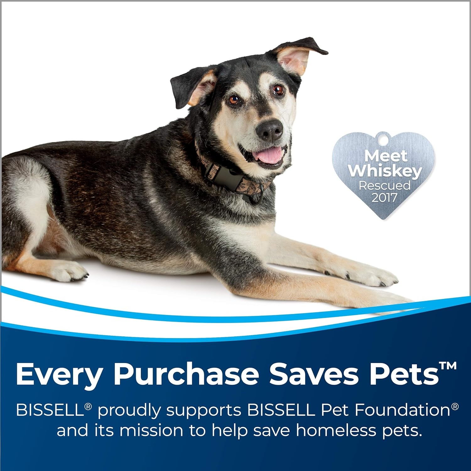Bissell® Big Green® PET PRO Carpet Cleaner with 8 Row XL DirtLifter PowerBrush, 9-inch Long Reach Hose, 2 Upholstery Tools, Includes Pet Pro Oxy Urine Eliminator Formula(Green)