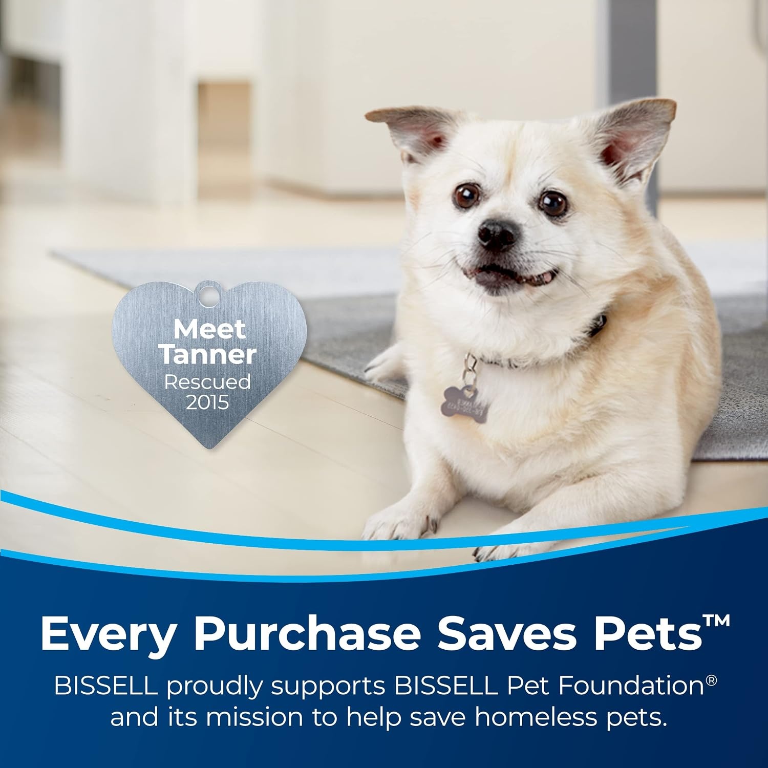 BISSELL Pet Stain Eraser Plus, Removable Scrub Brush, PET PRO OXY Spot & Stain Formula Included, 3181