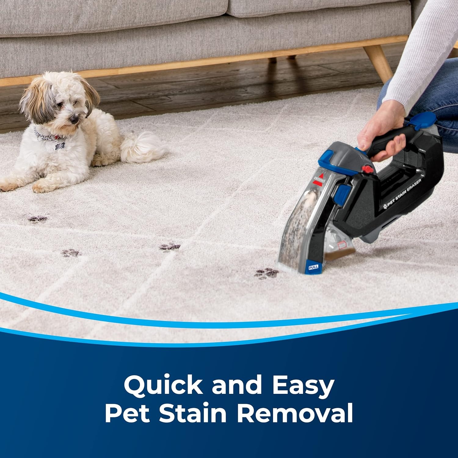 BISSELL Pet Stain Eraser Plus, Removable Scrub Brush, PET PRO OXY Spot & Stain Formula Included, 3181