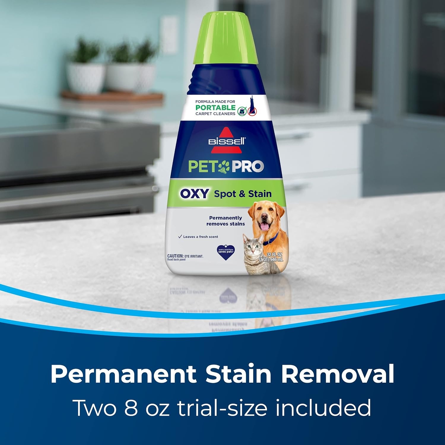 BISSELL Pet Stain Eraser Plus, Removable Scrub Brush, PET PRO OXY Spot & Stain Formula Included, 3181