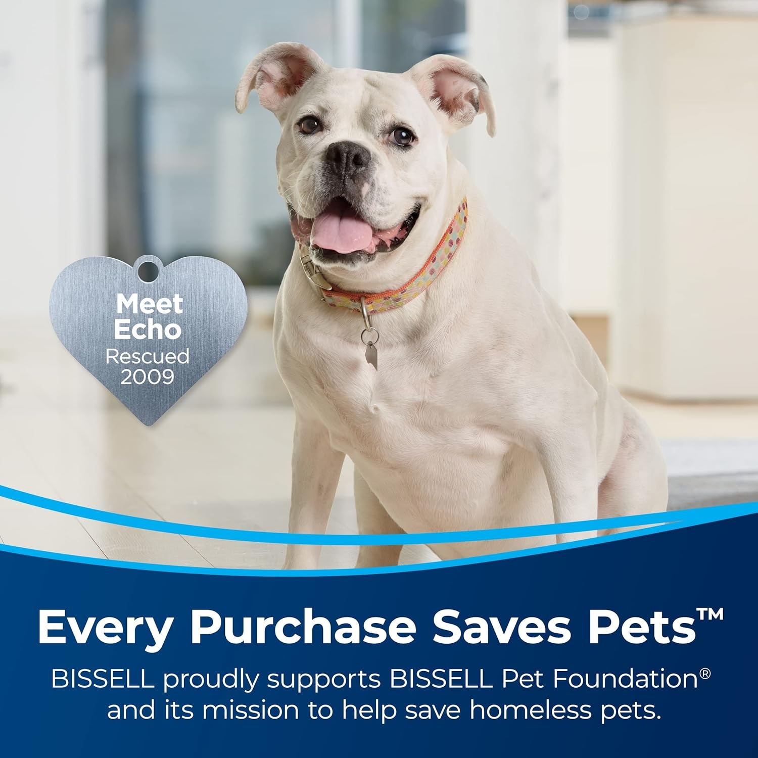 BISSELL ProHeat 2X Revolution Pet Turbo Upright Carpet Cleaner, 35799(ProHeat Revolution Pet Turbo)